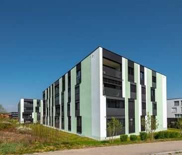 3.5 Zimmer, EG - Photo 6