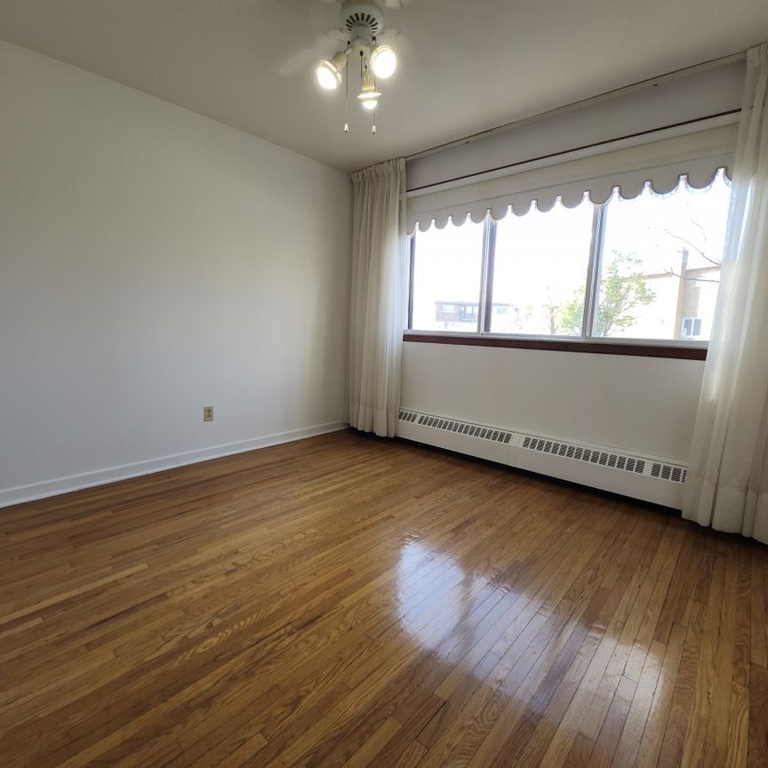 8116 Rue de Mirepoix - Photo 1