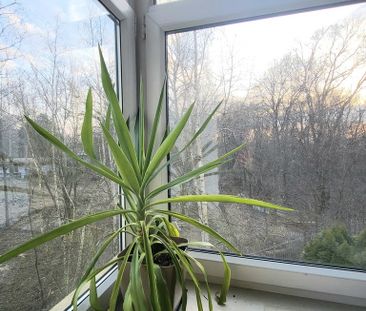 Warszawa, Białołęka, Aluzyjna - Zdjęcie 4