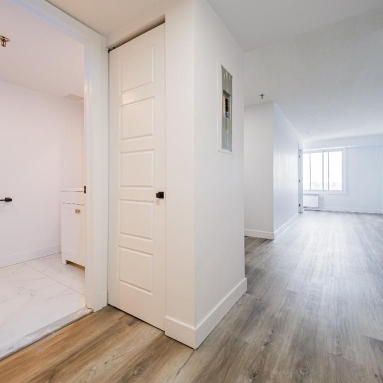 1 MOIS GRATUIT - Centre-ville Mtl Studio & 3 1/2 Gym, piscine… Appartement / logement à louer Montreal Ville-Marie - Photo 1