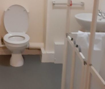 Greenfield, Ledbury rd, Hull, HU5 5SW - Photo 3