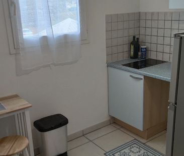 Location Appartement 1 pièce 30m² ST GILLES LES BAINS 97434 - Photo 3