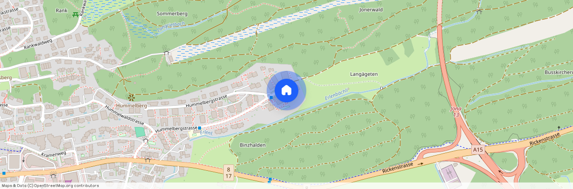 Hummelbergstr, 42, 8645 Jona