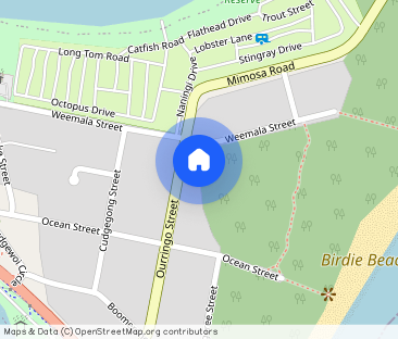 Coastal Cottage Charm Backing Onto Budgewoi Reserve! - Photo 1