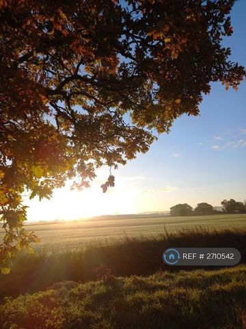 1 bedroom in a flat share to rent - Photo 2