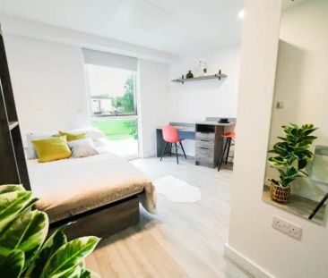 Gold Studio - Photo 4