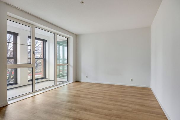 Appartement te huur: Mangoweg 175 2321 HZ Leiden - Foto 1