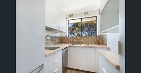 Bright, Updated & Convenient One-Bedroom Apartment - Photo 3