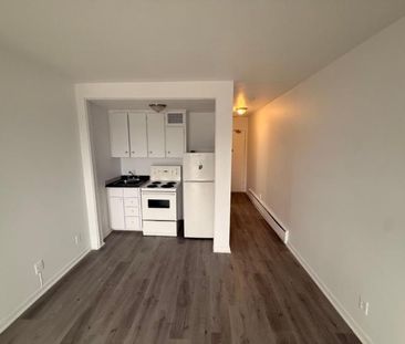1 CH - 1 SDB - Montréal - $1,099 /mo - Photo 3
