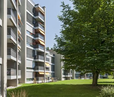Moderne Wohnung in gepflegter Überbauung - Photo 5