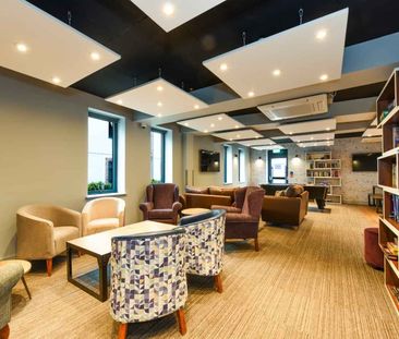 Studio Bronze - Photo 1