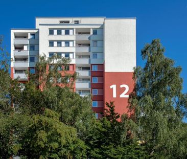 2-Zimmer-Wohnung in Kreuztal mieten - Photo 2