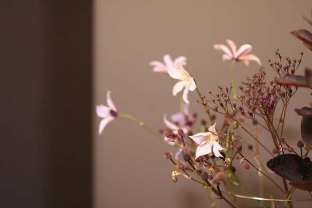 Strandgatan 64 - Foto 1