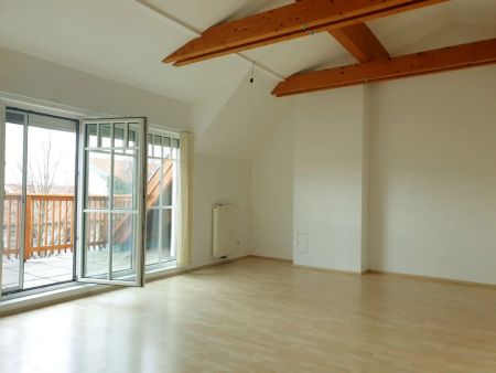 Mehr Platz, mehr Licht, mehr Leben - 4 Zimmer Familienglück - Foto 2