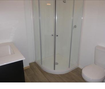 Central Lower Hutt - Photo 3