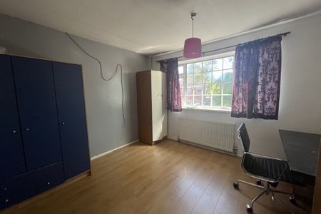 Dog Kennel Lane - Photo 3