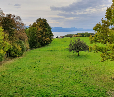 Magnifique et grand 2.5 pièces de 80m2 - Foto 4