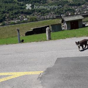 2.5 Zimmer, 55 m² - Photo 3