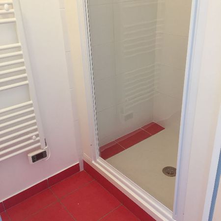 Location Appartement 1 pièce 20m² - Photo 4