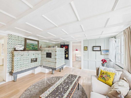 Charming Ensemble mit Wohnhaus, Atelier/Gewerbe und Loftwohnung - Photo 1