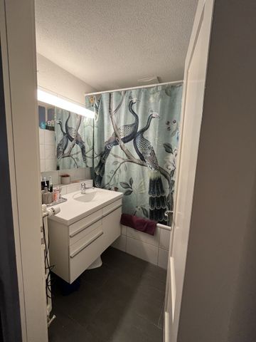 APPARTEMENT DE 3 PIÈCES À ZURICH, MEUBLÉ, TEMPORAIRE - Foto 3