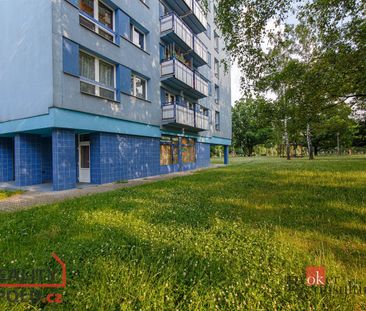 Pronájem bytu 1+1 39 m² - Photo 2