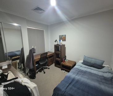 Banksia Grove - Photo 4