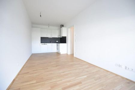 COPACABANA – 58m² -neuwertige 3 Zimmer Wohnung – großer Balkon und Carport - Photo 5