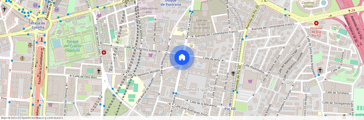 Nueva España, Madrid