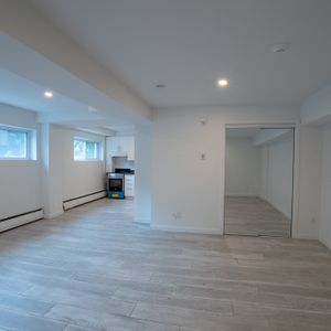 Studio - 50 Crepeau - Photo 3