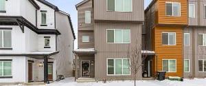 1 Bed 1 Bath Lower Suite Shared Yard Uplands Edmonton - Photo 1