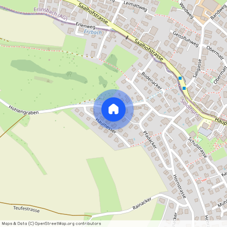 Hohlengraben 27, 5015 Erlinsbach SO