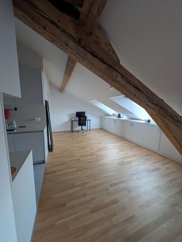 Superbe appartement au coeur de Lausanne - 1.5 pièce dans les combles - Photo 3
