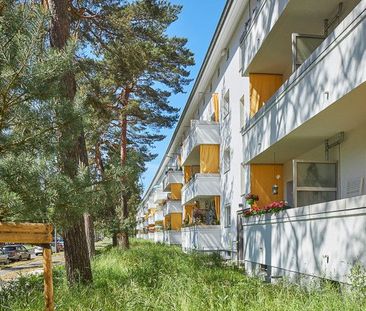 2,5-Zimmer Wohnung in der Waldsiedlung sucht neue Mieter/innen - Foto 1