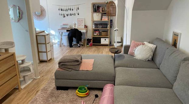 Lovely Saint Heliers Studio - Photo 1