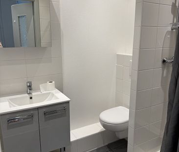 Location Appartement 1 pièce 19m² STRASBOURG 67200 - Photo 4