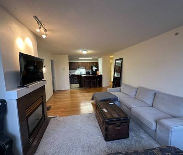 1 Bed 1 Bath - Apartment - Photo 2