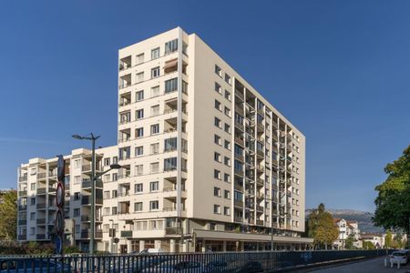 Location Appartement 1 pièce Meublé 25m² ANNECY 74000 - Photo 4