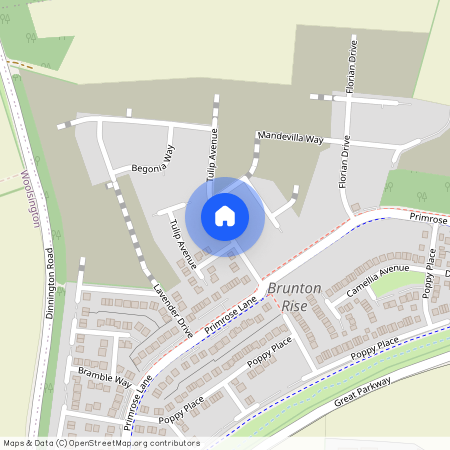 Mandevilla Way, Great Park, NE13