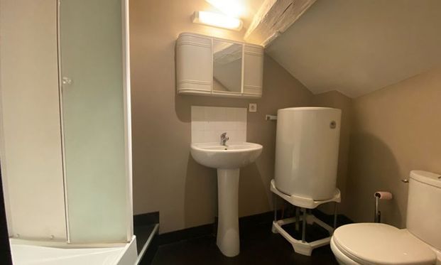 Location Appartement 2 pièces LIMOGES (87000) - Photo 1