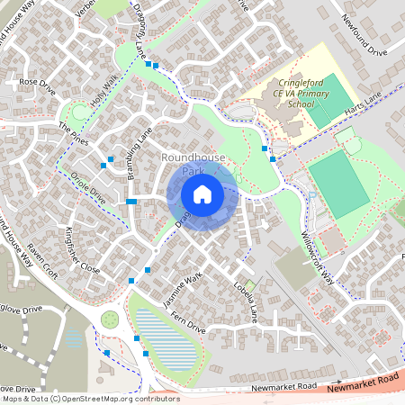 Dragonfly Lane, Norwich, NR4