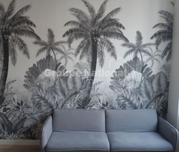 T1 BIS MEUBLÉ CALME ET LUMINEUX COTÉ COURS SANS VAV, - Photo 5