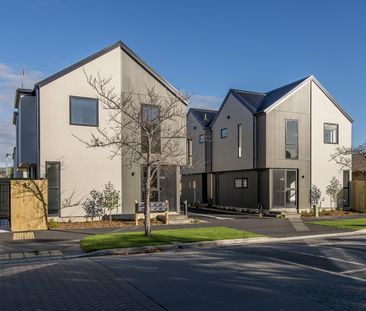 404 Armagh Street, Linwood - Photo 6