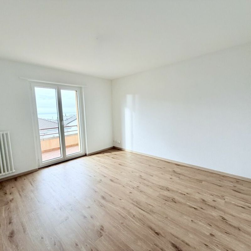 VUE SUR LE LAC ET QUARTIER PAISIBLE : VOTRE NOUVEAU 3.0 PIÈCES RÉNOVÉ - Foto 1