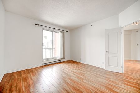 Le Demetrius - Photo 4