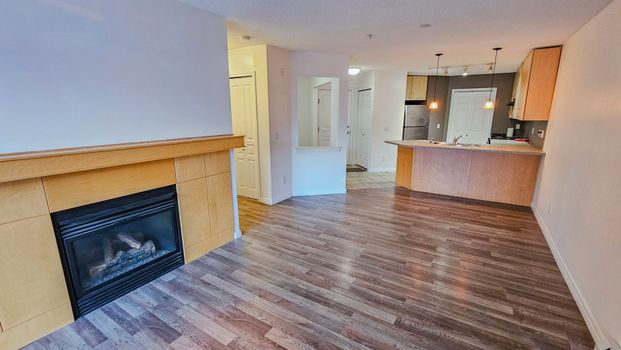 1 Br + Den Beautiful Condo For Rent In Lincoln Park: Heat & Water Included. - Photo 1