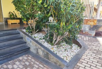 En alquiler piso en Playa Paraíso, Adeje