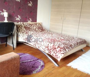 Apartament 2 camere de inchiriat in Cluj-Napoca, Marasti ID 3146 - Photo 3