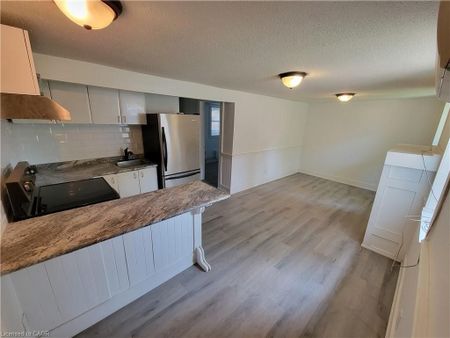 For Lease - 98 West Avenue Unit# Lower, Hamilton, Ontario - Photo 4