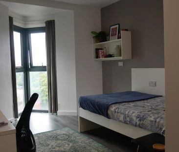 Gold Studio - Photo 3